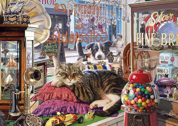 The Curiosity Shop Cat